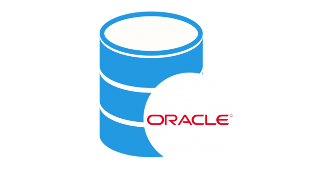 Java Oracle Db training in vellore